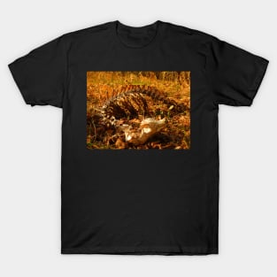 Dead Queen T-Shirt